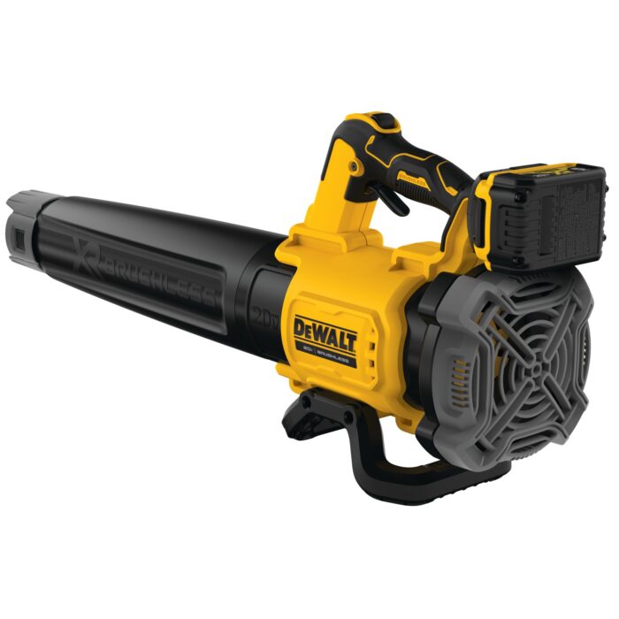 Outil Dewalt DCBL722P1