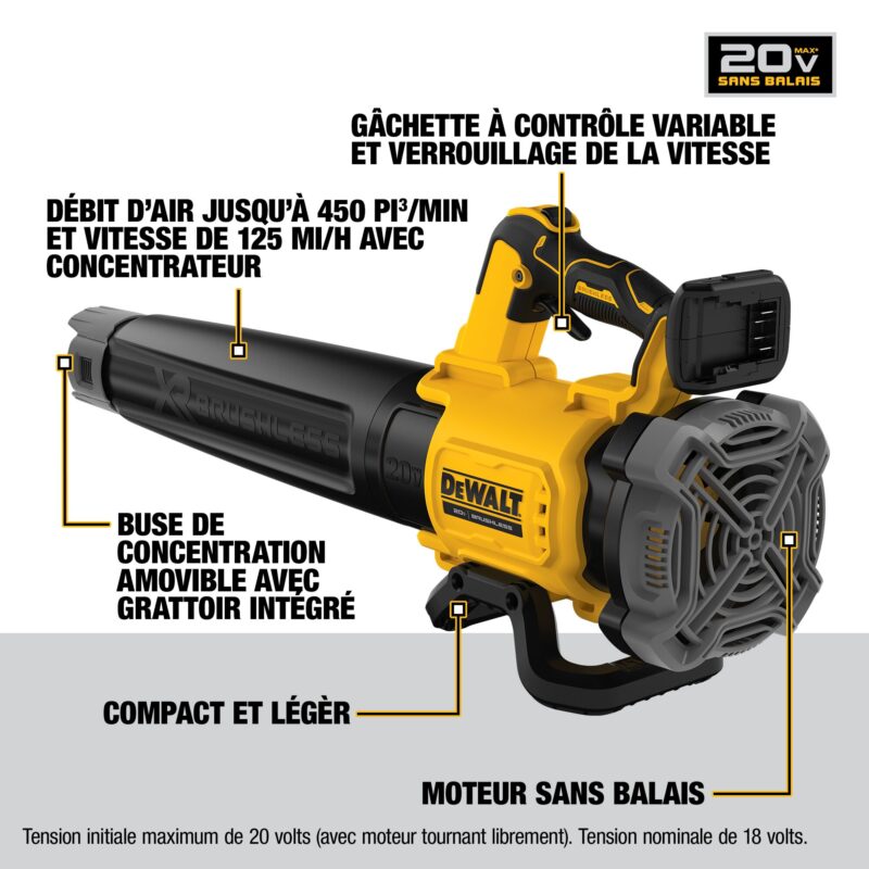 Outil Dewalt DCBL722P1