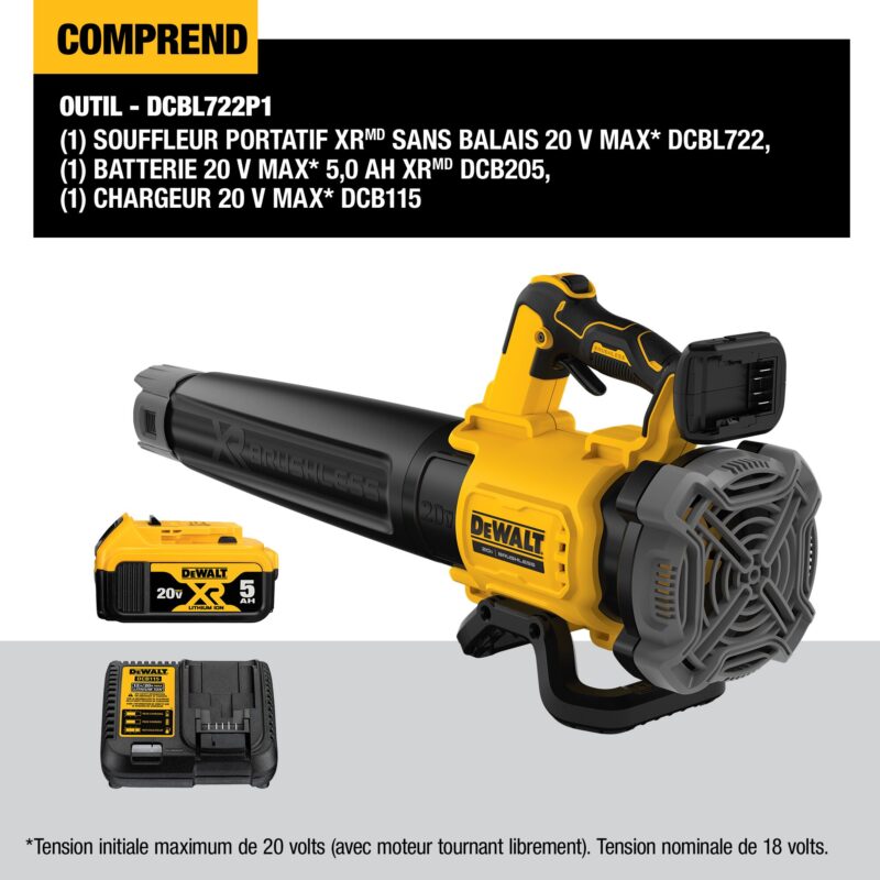 Outil Dewalt DCBL722P1