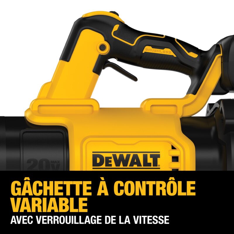 Outil Dewalt DCBL722P1